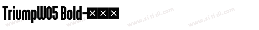 TriumpW05 Bold字体转换